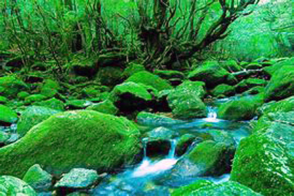 鹿児島水処理